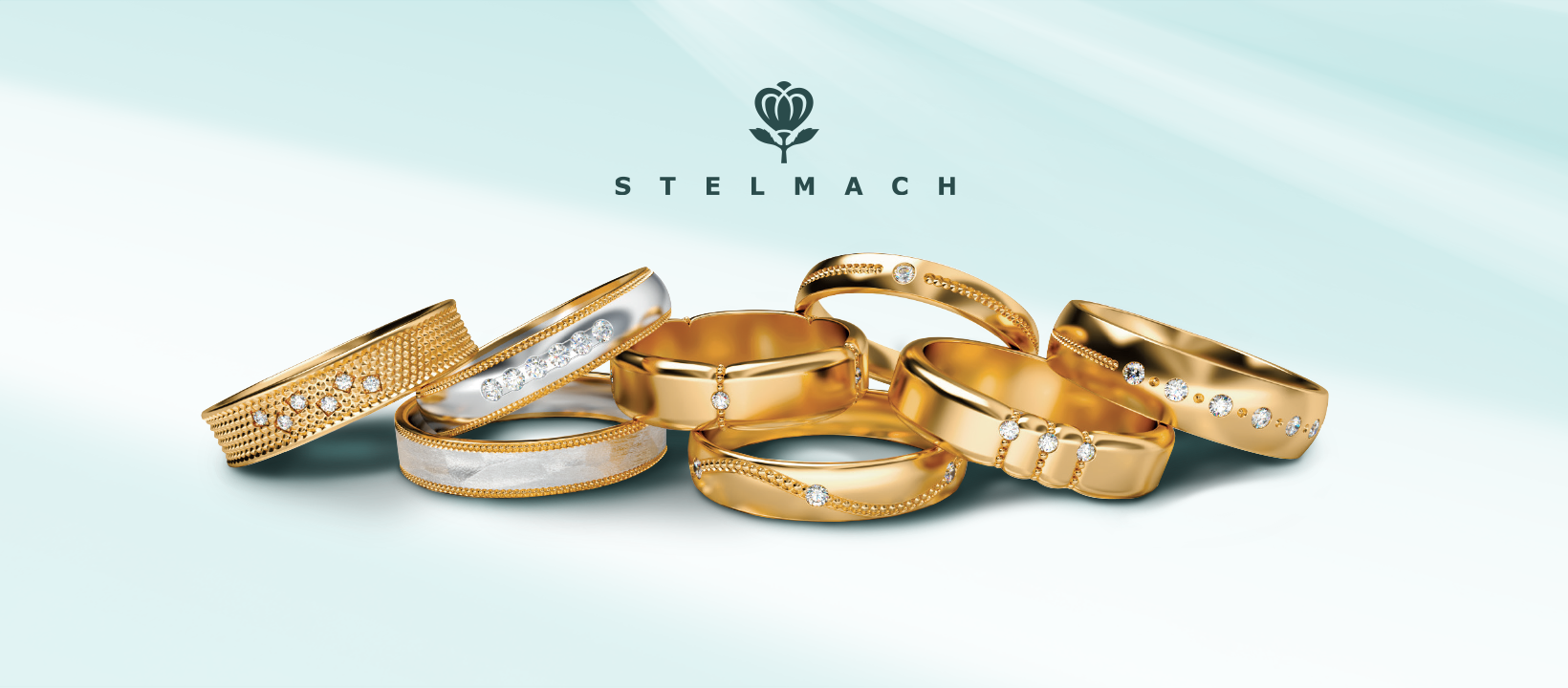 Stelmach B2B