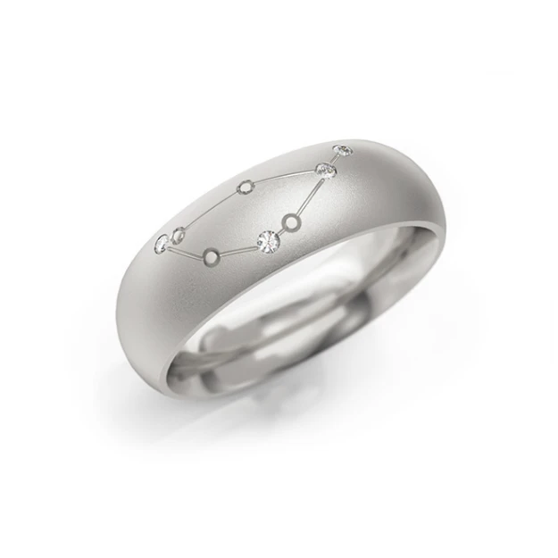 Bild von Zodiac-Ring "Steinbock"_600 W