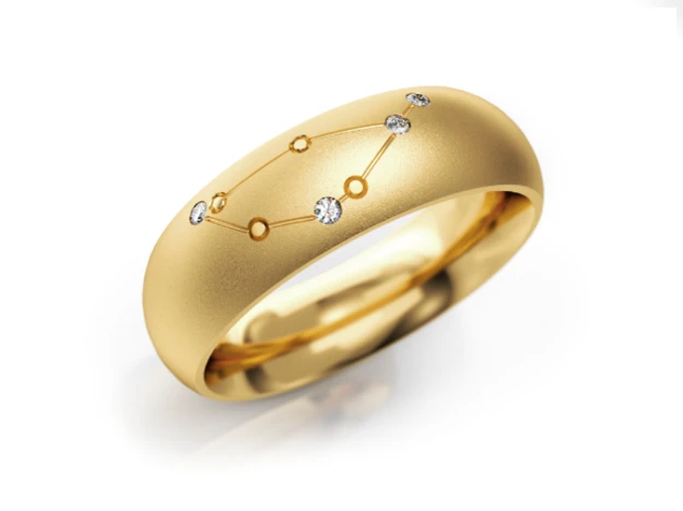 Bild von Zodiac-Ring "Steinbock"_600 G